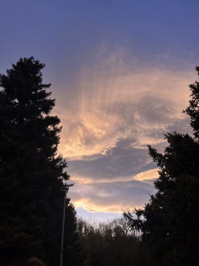 Meadowlark Park - Lakewood, CO
