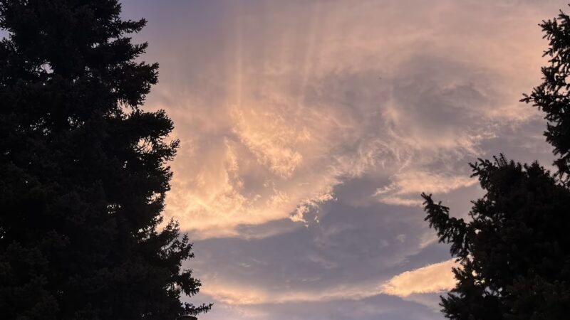 Meadowlark Park - Lakewood, CO