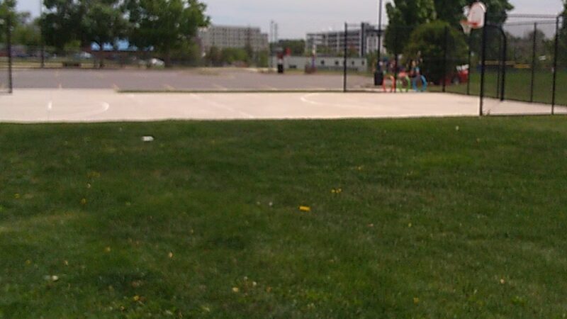 Mountair Park & Dog Park - Lakewood, CO