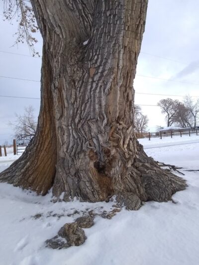 South Sheridan Park - Lakewood, CO
