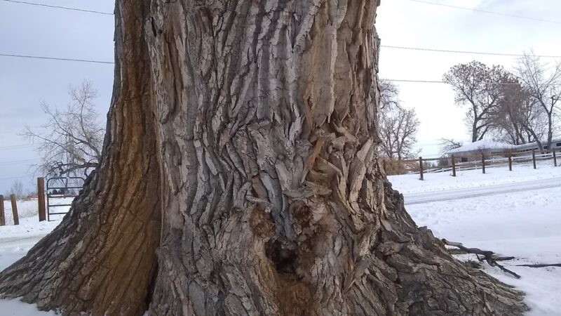 South Sheridan Park - Lakewood, CO
