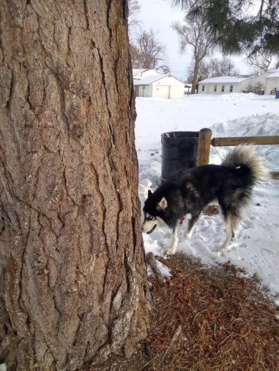 South Sheridan Park - Lakewood, CO