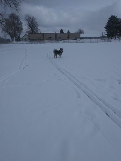 South Sheridan Park - Lakewood, CO