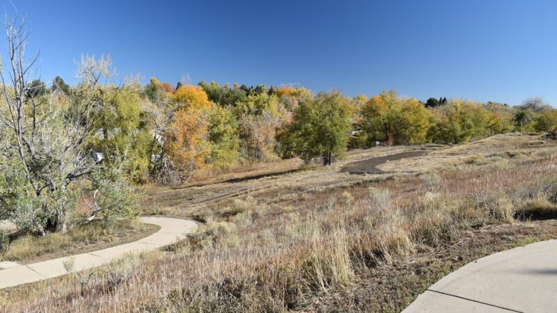 Sunset Park - Lakewood, CO