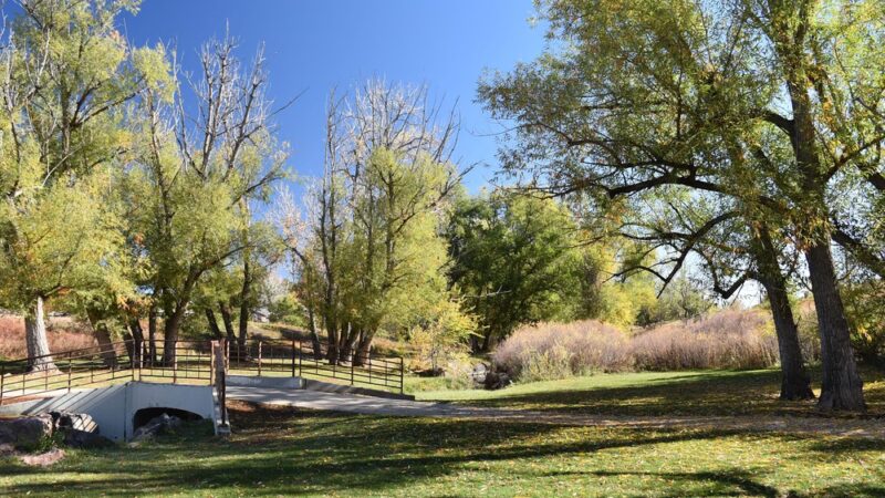 Sunset Park - Lakewood, CO