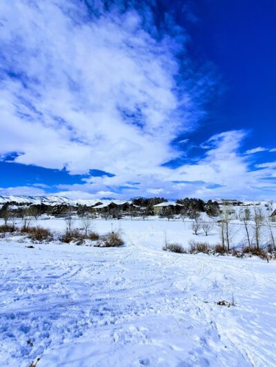 Union Ridge Park - Lakewood, CO