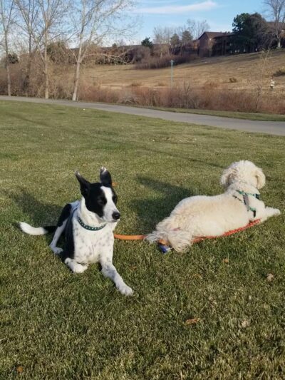 Union Ridge Park - Lakewood, CO