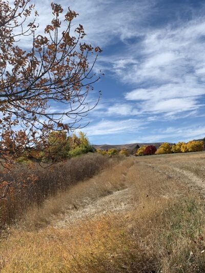 Union Ridge Park - Lakewood, CO