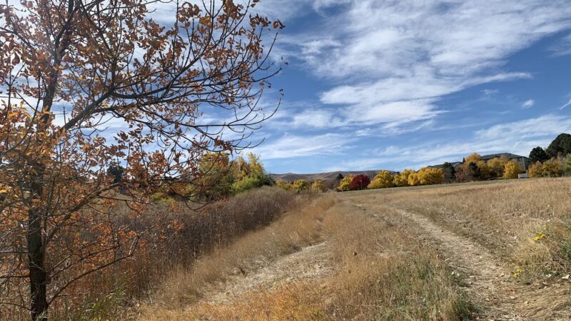 Union Ridge Park - Lakewood, CO
