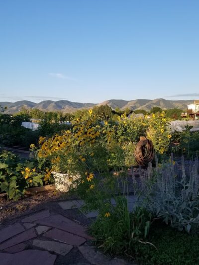 Ute Trail Park - Lakewood, CO
