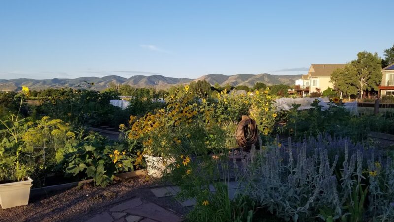 Ute Trail Park - Lakewood, CO
