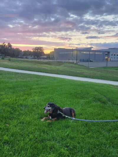Walker-Branch Park - Lakewood, CO