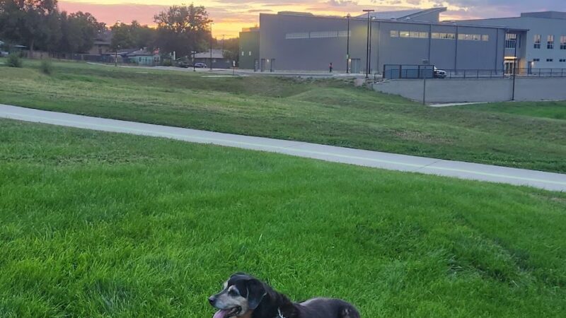 Walker-Branch Park - Lakewood, CO
