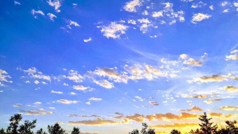 Wright Park - Lakewood, CO