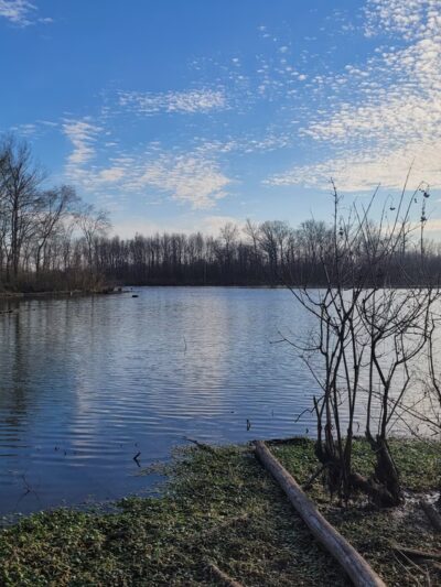 Crooked Branch Park - Lakewood, TN