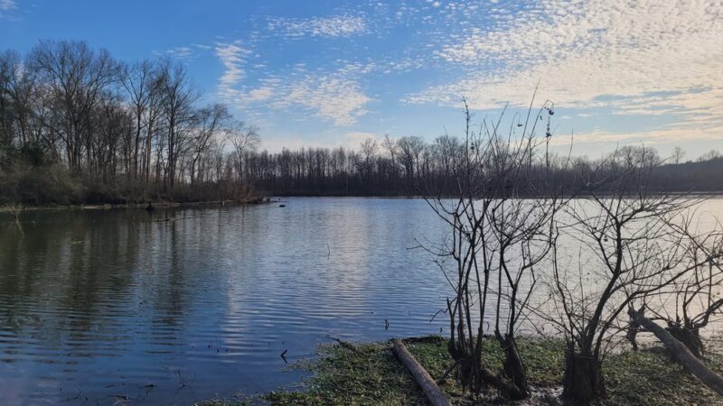 Crooked Branch Park - Lakewood, TN