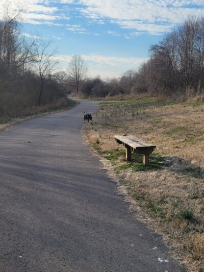 Crooked Branch Park - Lakewood, TN
