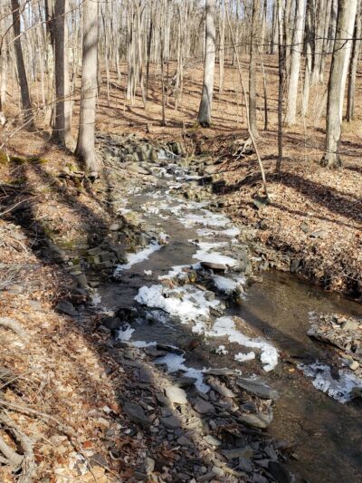 Dry Run Creek - Lambertville, NJ