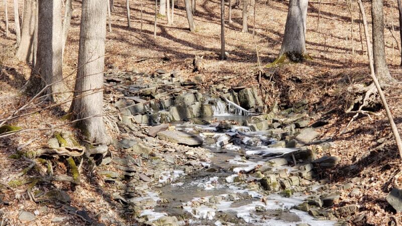 Dry Run Creek - Lambertville, NJ