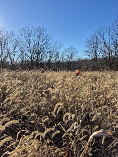 Hunt's Family Preserve - Lambertville, NJ