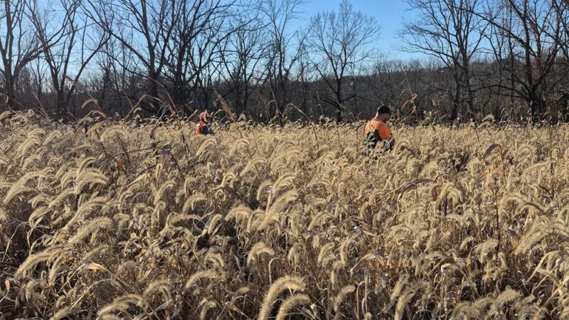 Hunt's Family Preserve - Lambertville, NJ