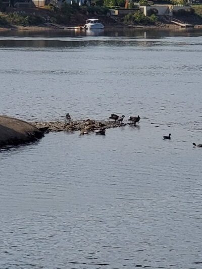 D & R Canal Parking Lot - Lambertville, NJ