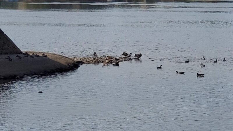 D & R Canal Parking Lot - Lambertville, NJ