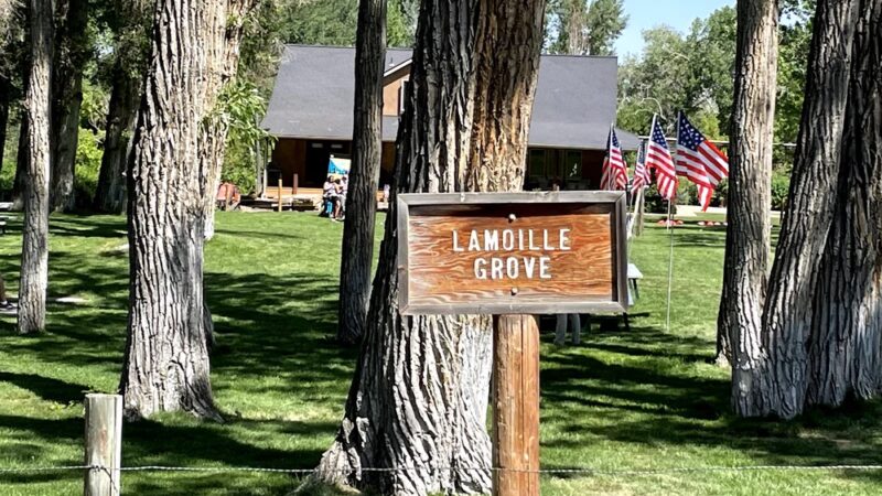 Lamoille Grove - Lamoille, NV
