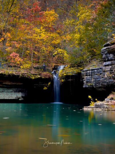 Dogwood Canyon Nature Park - Lampe, MO