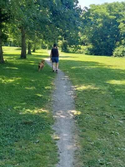 Como Lake Park Gazebort - Lancaster, NY