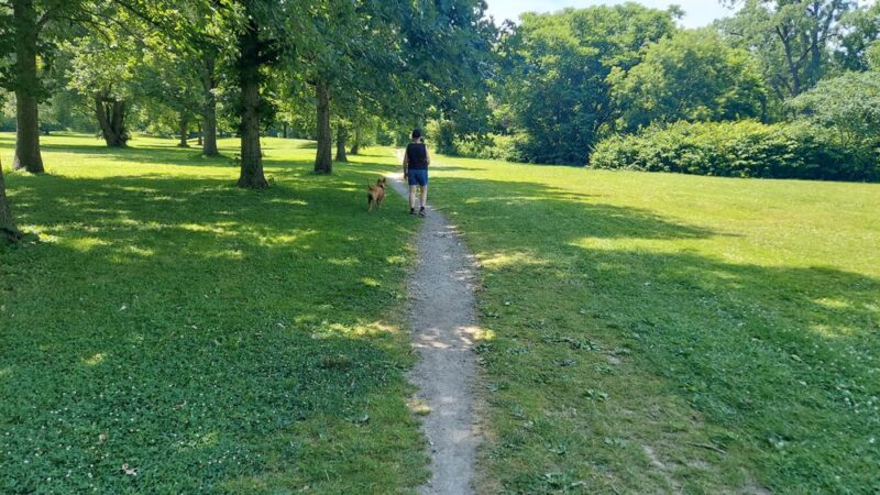 Como Lake Park Gazebort - Lancaster, NY