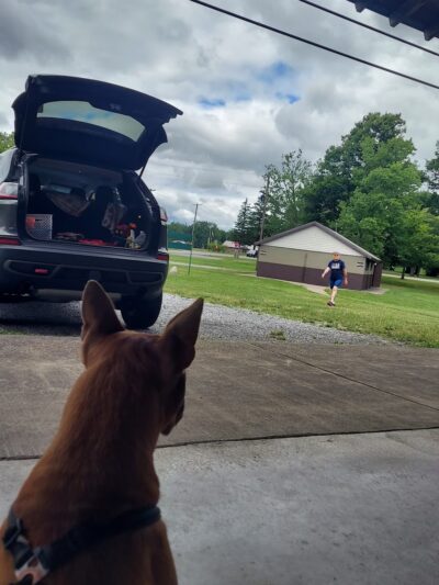 Como Lake Park Gazebort - Lancaster, NY