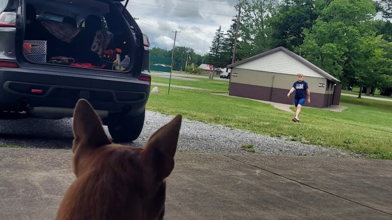 Como Lake Park Gazebort - Lancaster, NY