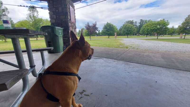 Como Lake Park Gazebort - Lancaster, NY