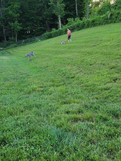 Fairfield Area Humane Society Public Dog Park - Lancaster, OH