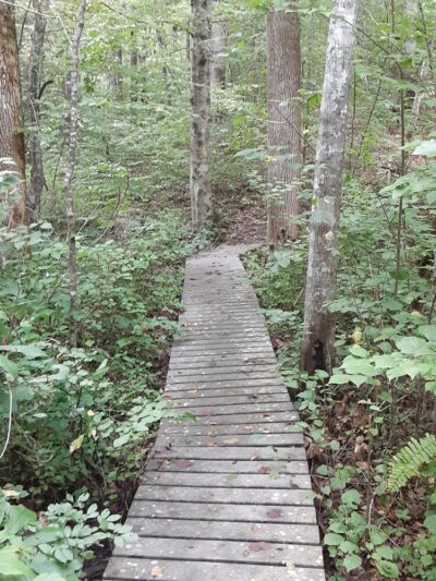 Hickory Hollow Natural Area Preserve - Lancaster, VA
