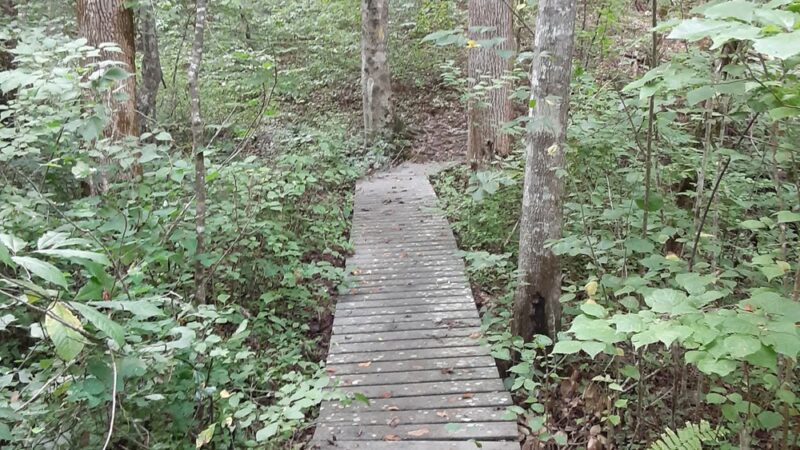 Hickory Hollow Natural Area Preserve - Lancaster, VA