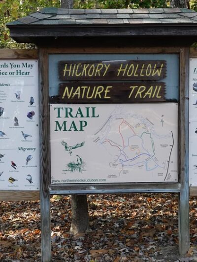 Hickory Hollow Natural Area Preserve - Lancaster, VA