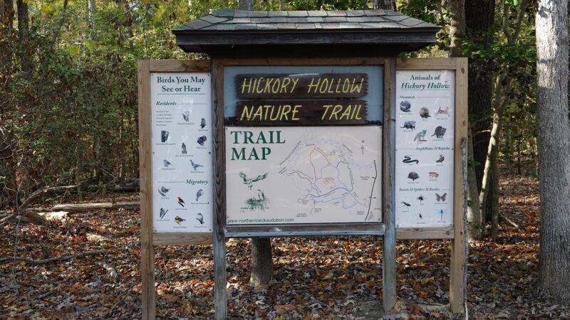 Hickory Hollow Natural Area Preserve - Lancaster, VA