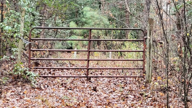 Hickory Hollow Natural Area Preserve - Lancaster, VA