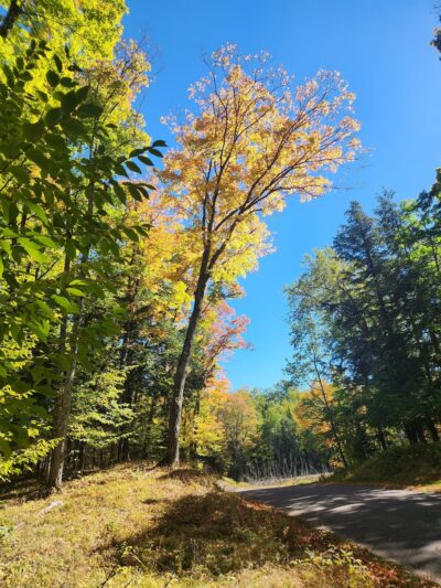 Land O'Lakes Bike Trail - Land O' Lakes, WI