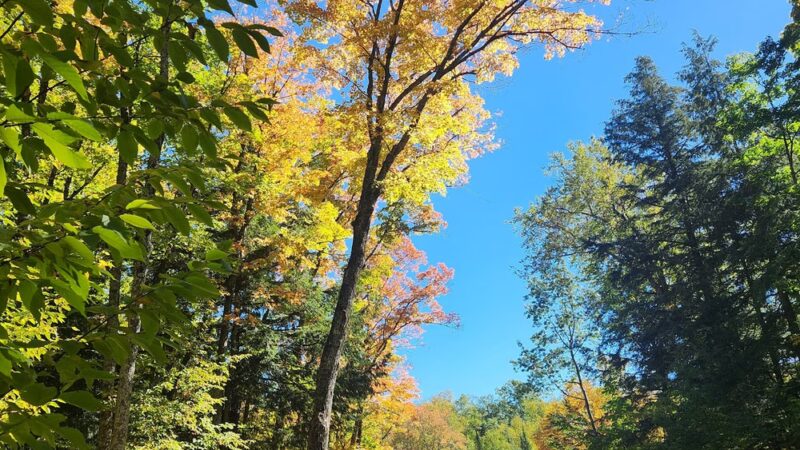 Land O'Lakes Bike Trail - Land O' Lakes, WI