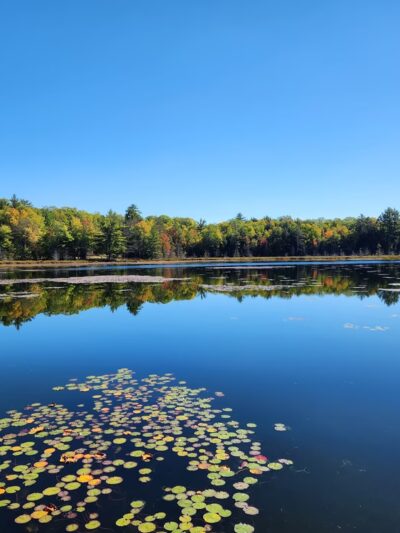 Land O'Lakes Bike Trail - Land O' Lakes, WI
