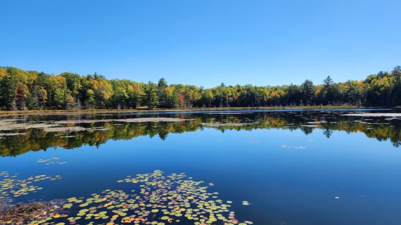Land O'Lakes Bike Trail - Land O' Lakes, WI