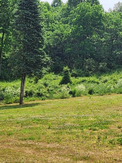 Banffshire Preserve - Landenberg, PA