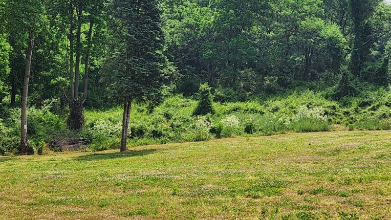 Banffshire Preserve - Landenberg, PA
