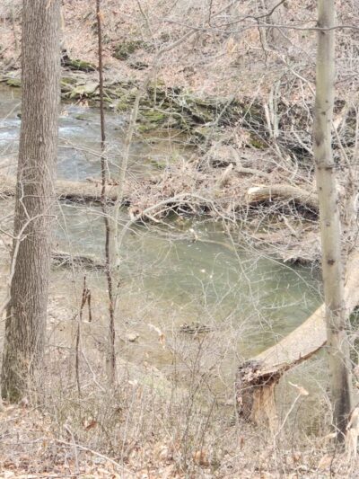 Banffshire Preserve - Landenberg, PA