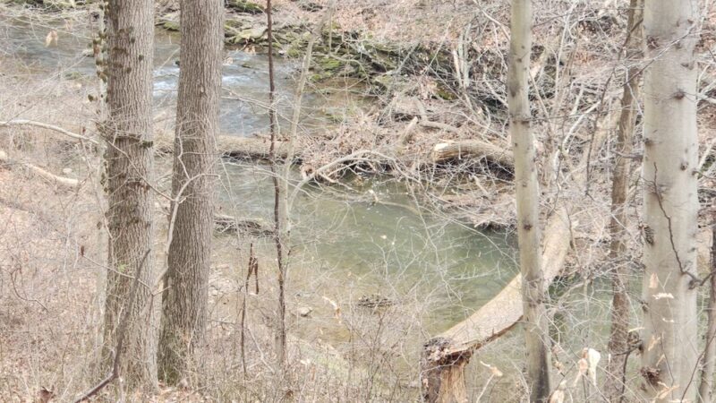 Banffshire Preserve - Landenberg, PA
