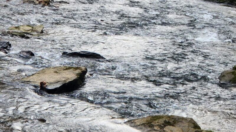 Banffshire Preserve - Landenberg, PA