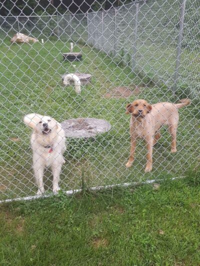 Landenberg Pet Resort & Spa - Landenberg, PA
